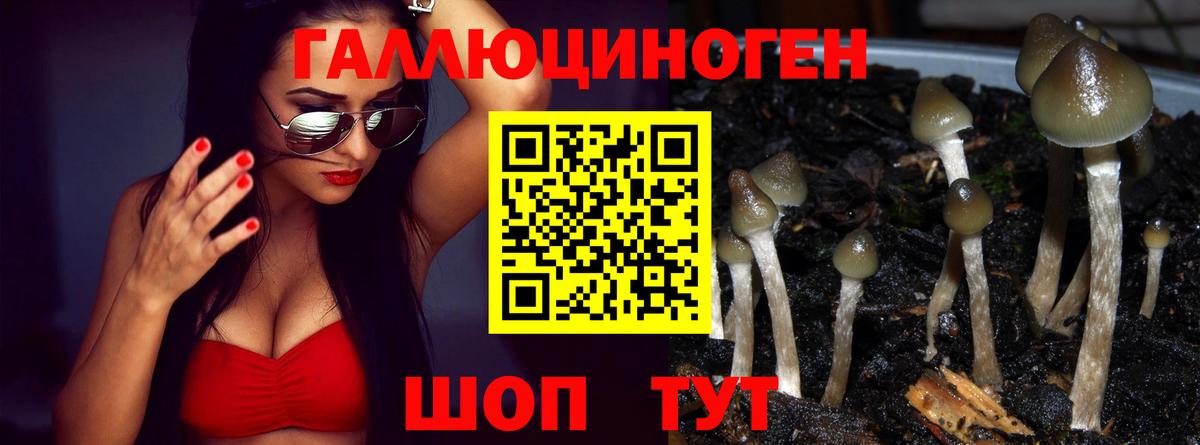 Псилоцибиновые грибы мухоморы  Вход с VPN  Псилоцибиновые грибы Magic Shrooms  Кольчугино 