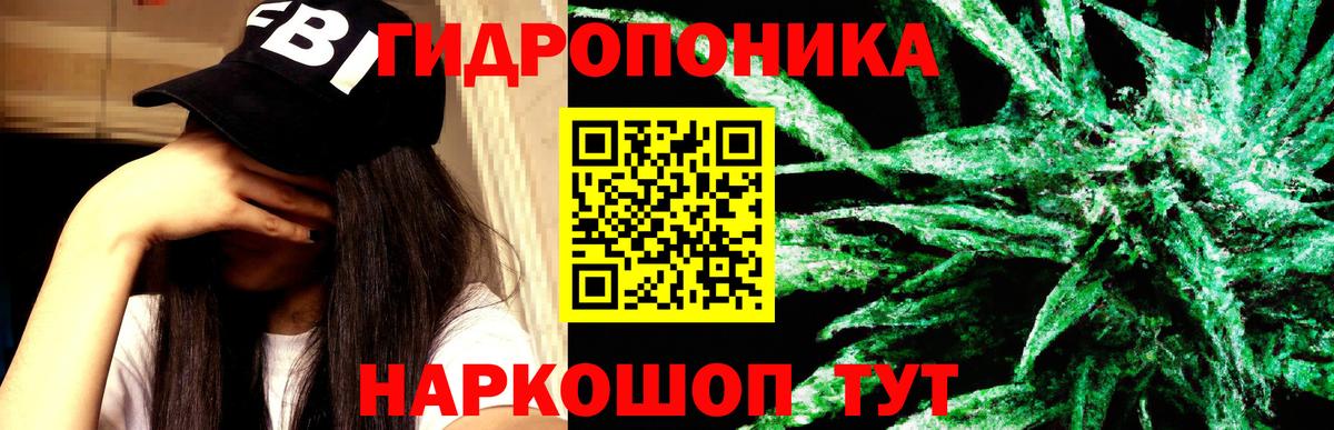 Кольчугино  Конопля планчик  Вход с VPN  Конопля White Widow  Бошки Шишки MAZAR 